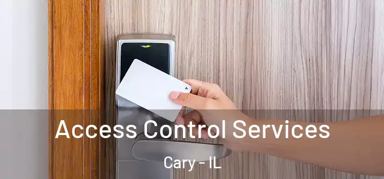  Access Control Services Cary - IL