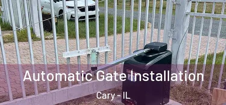  Automatic Gate Installation Cary - IL