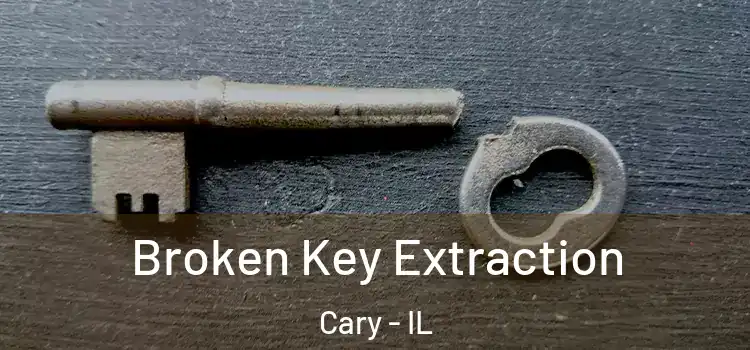  Broken Key Extraction Cary - IL