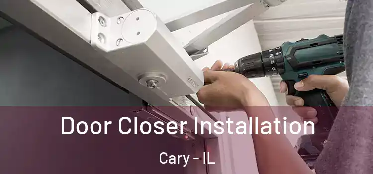  Door Closer Installation Cary - IL