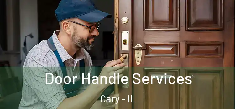  Door Handle Services Cary - IL