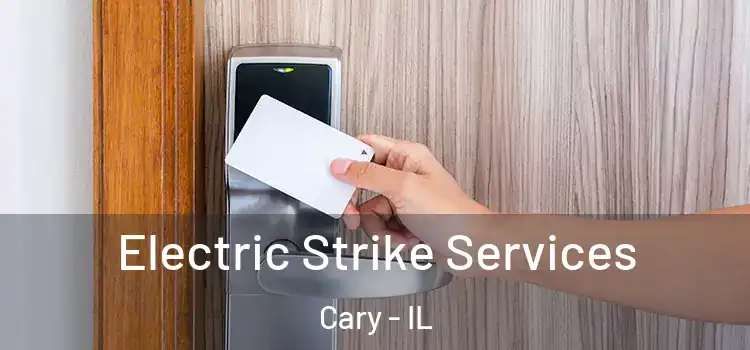  Electric Strike Services Cary - IL