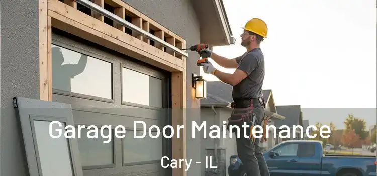  Garage Door Maintenance Cary - IL