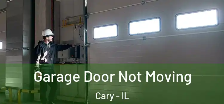  Garage Door Not Moving Cary - IL
