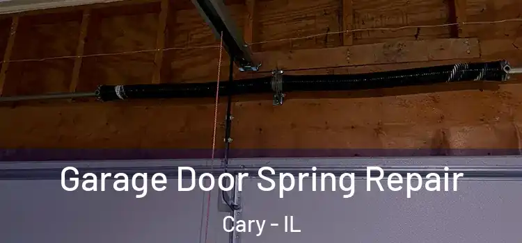  Garage Door Spring Repair Cary - IL