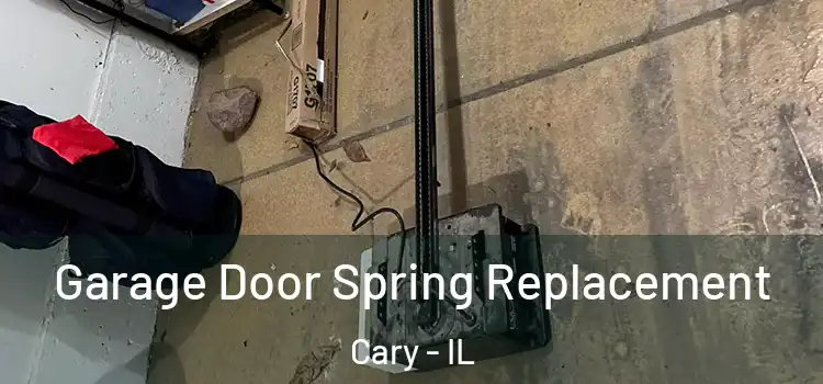  Garage Door Spring Replacement Cary - IL