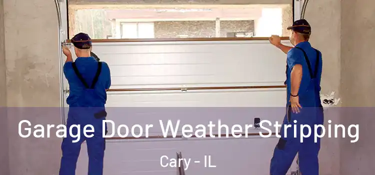  Garage Door Weather Stripping Cary - IL