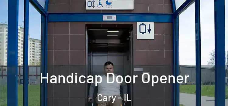  Handicap Door Opener Cary - IL