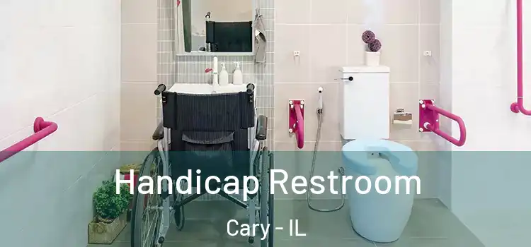  Handicap Restroom Cary - IL