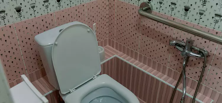 Meeting Diverse Needs With Accessible Restroom Solutions in Cary, IL