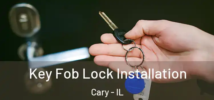  Key Fob Lock Installation Cary - IL