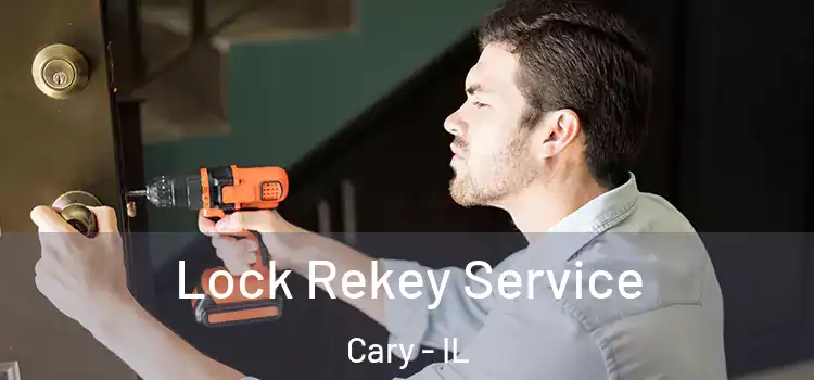  Lock Rekey Service Cary - IL