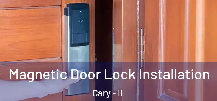  Magnetic Door Lock Installation Cary - IL