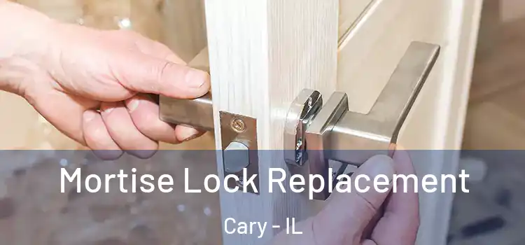  Mortise Lock Replacement Cary - IL