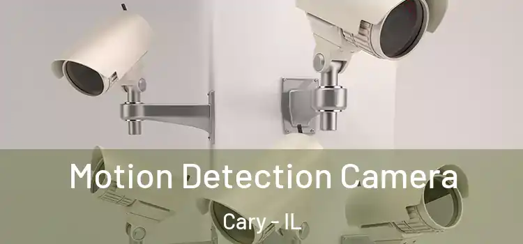  Motion Detection Camera Cary - IL