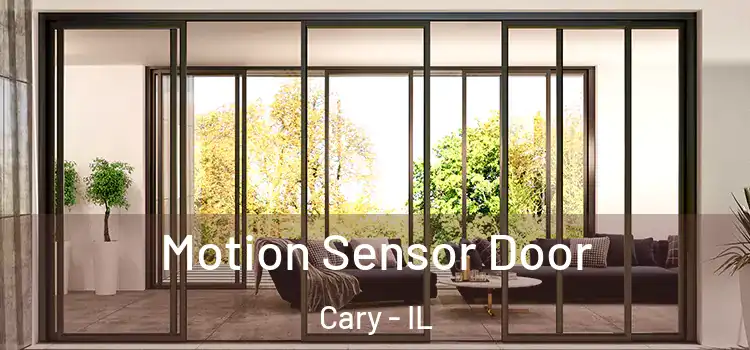  Motion Sensor Door Cary - IL