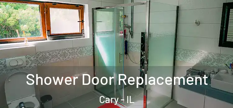  Shower Door Replacement Cary - IL
