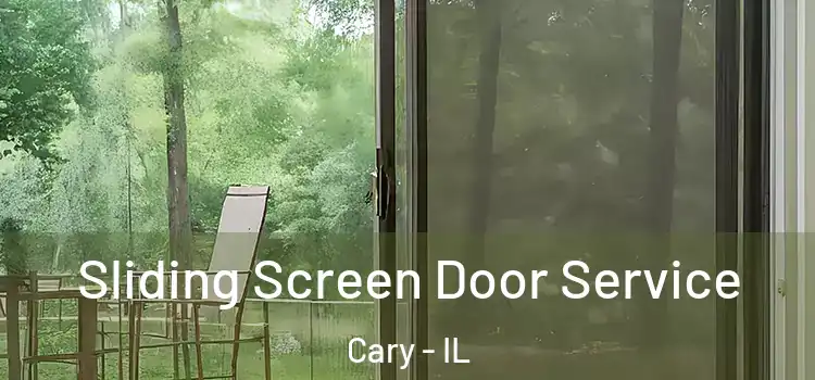  Sliding Screen Door Service Cary - IL