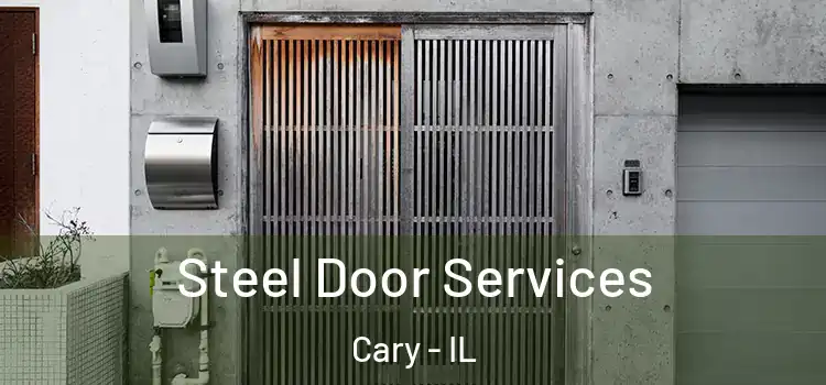  Steel Door Services Cary - IL